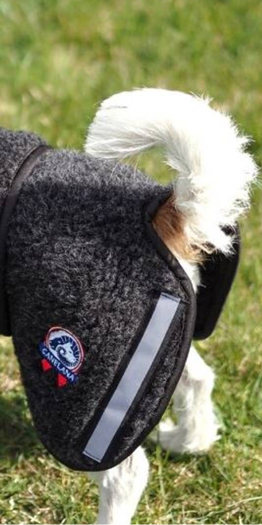 Canelana Ambassadör Ulltäcke