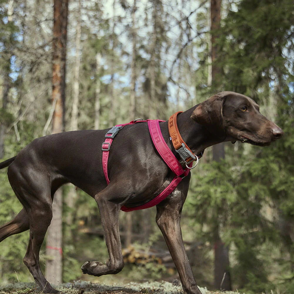 Hurtta Casual Y-sele ECO