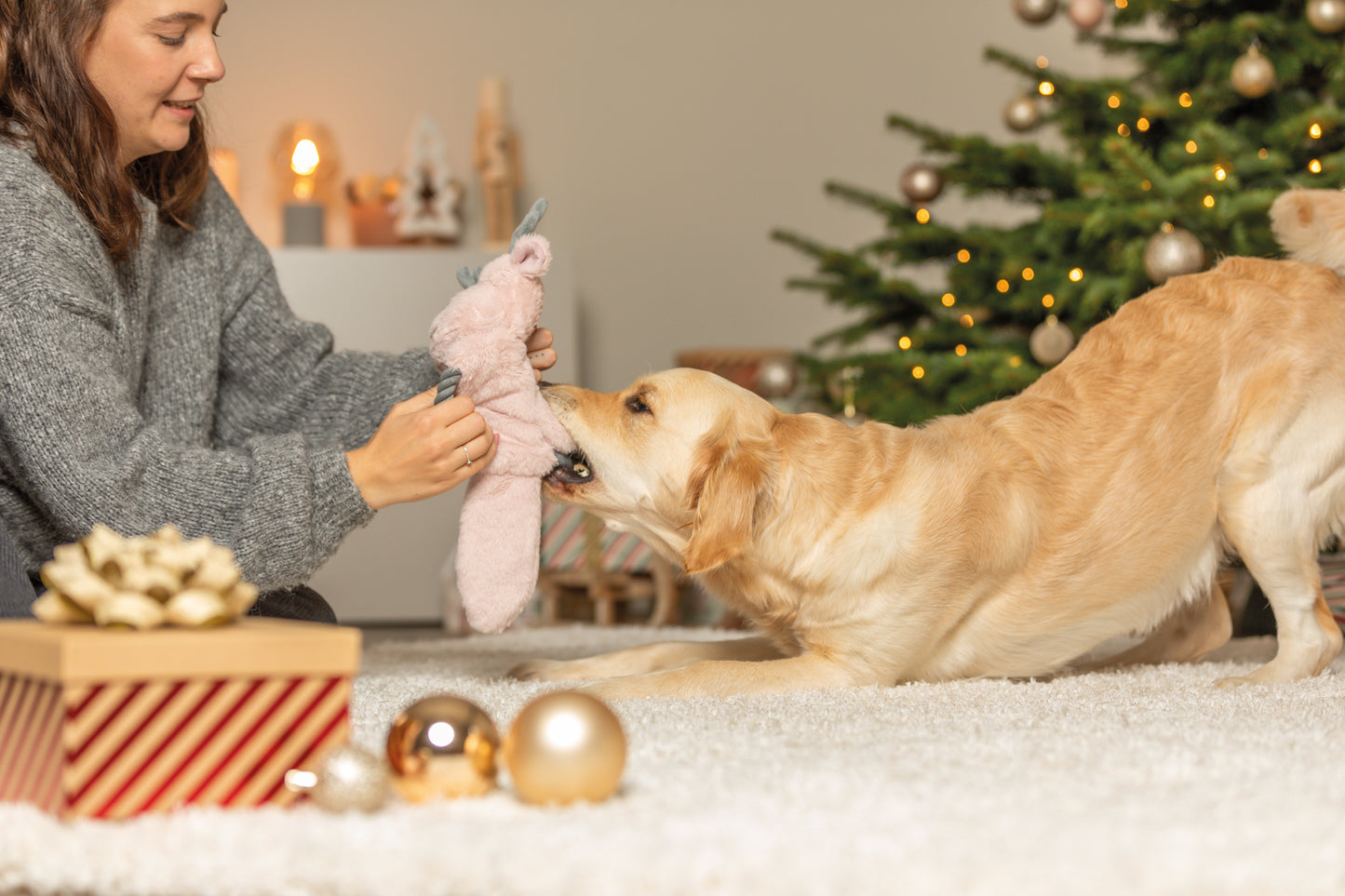 Ren med prassel och rep