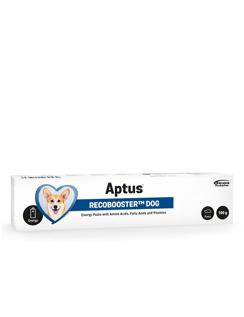 Aptus Recobooster Dog 100 g