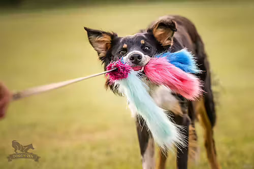 Doggie-Zen Bläckfiskjagare fuskpäls