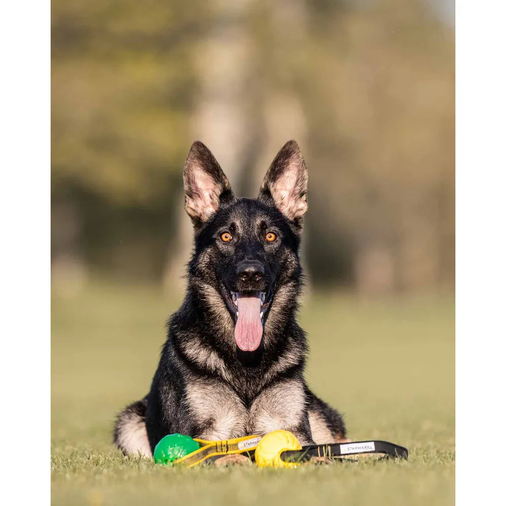 Starmark GripCord Durafoam Ball M