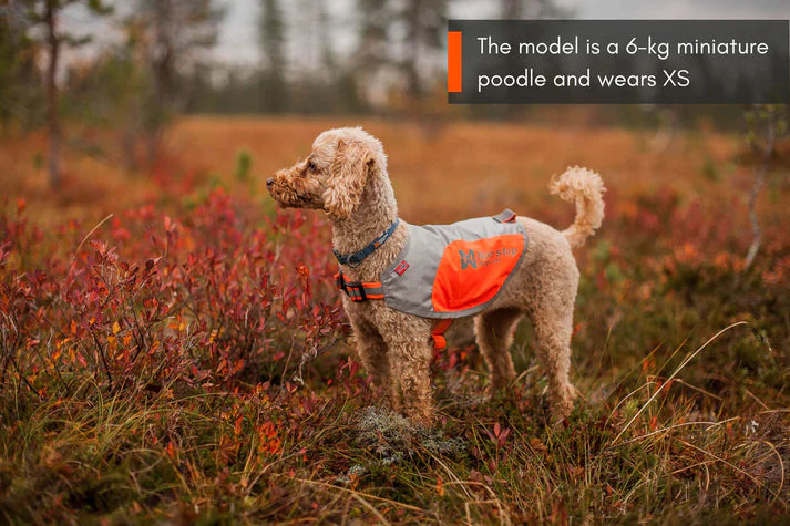 Non-Stop Dogwear Reflection Blanket