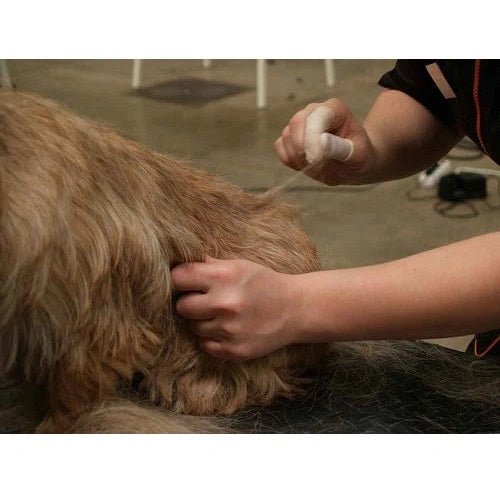 Fingerskydd trim 100-Pack