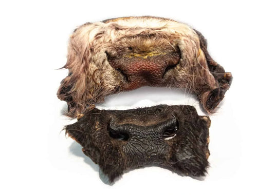 Torkad Oxmule Med Päls