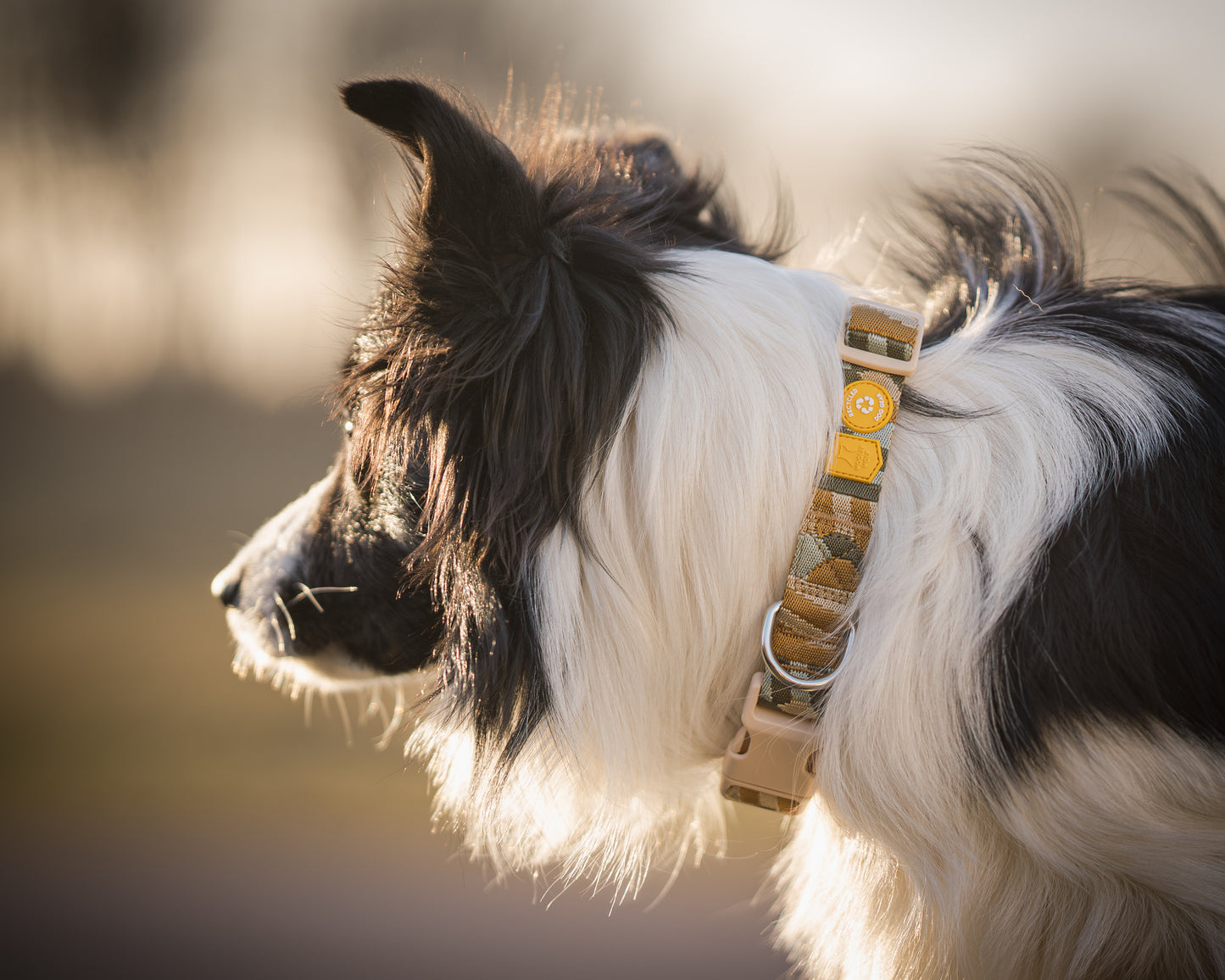 Woolly Wolf Halsband Cloudbeam