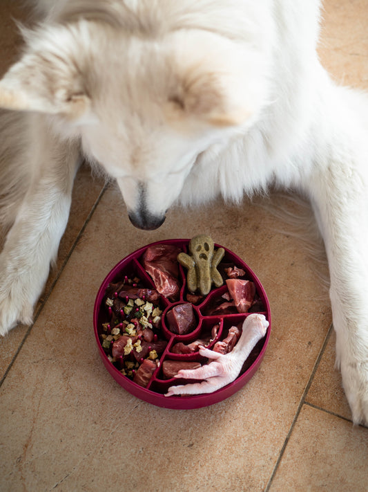 Fiboo SlowBowl – Slow feeder-skål med fack