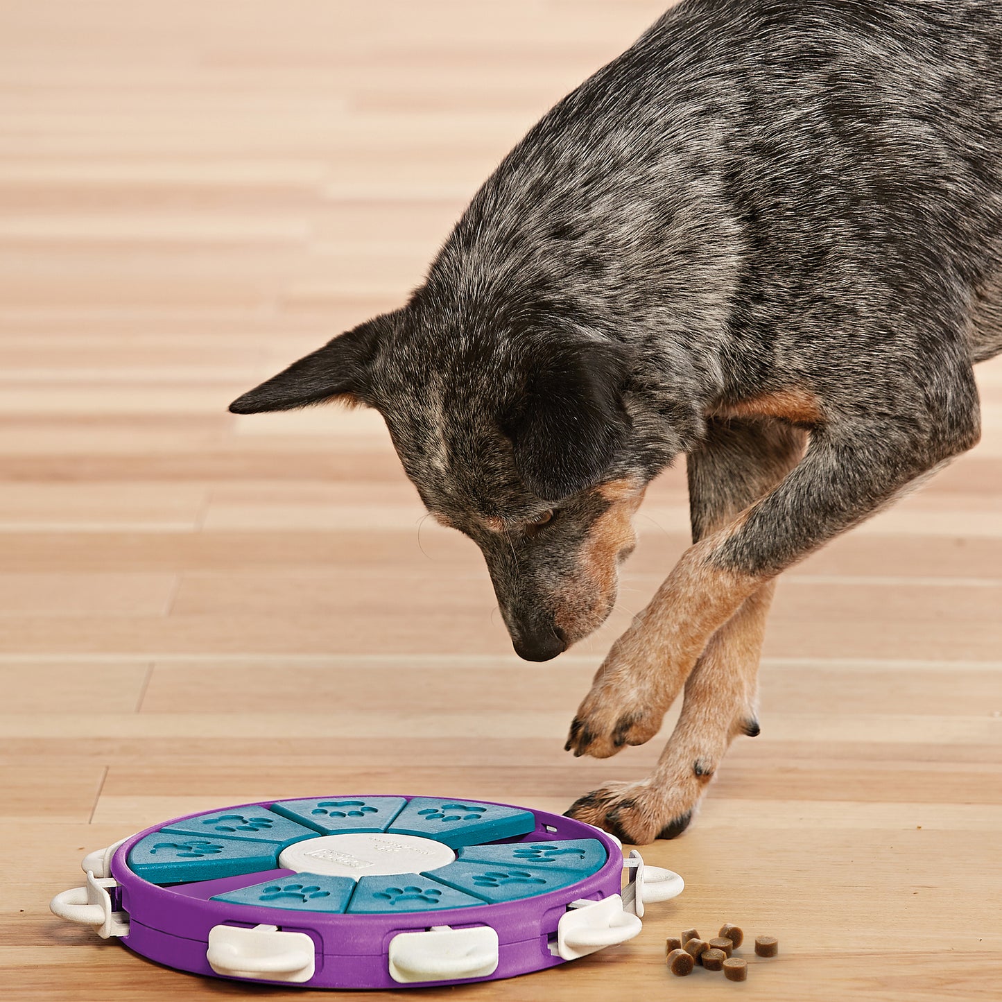 Nina Ottosson Dog Twister