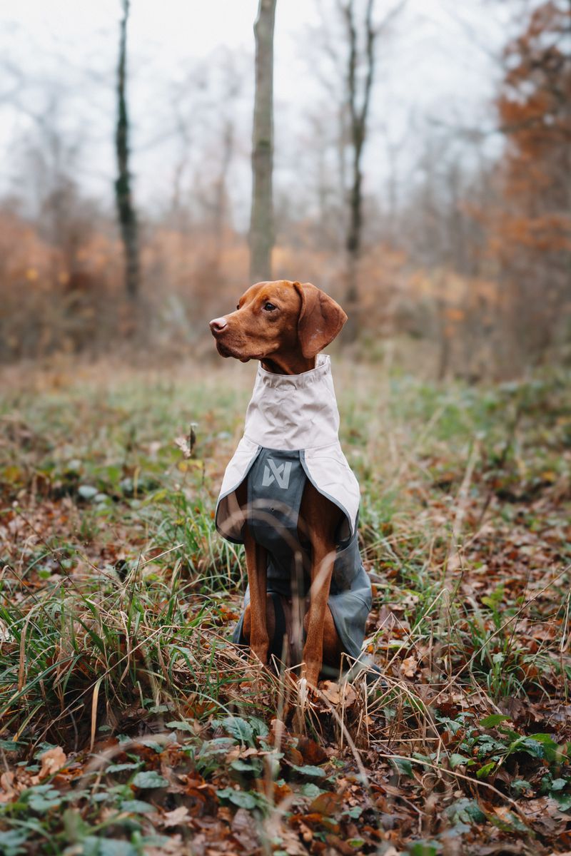Non-Stop Dogwear Fjord Raincoat 2.0