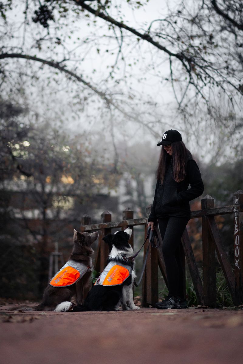 Non-Stop Dogwear Reflection Blanket