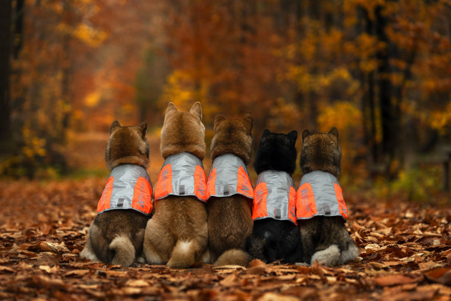 Non-Stop Dogwear Reflection Blanket