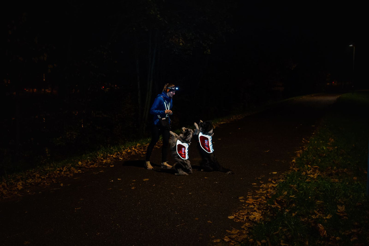 Non-Stop Dogwear Reflection Blanket