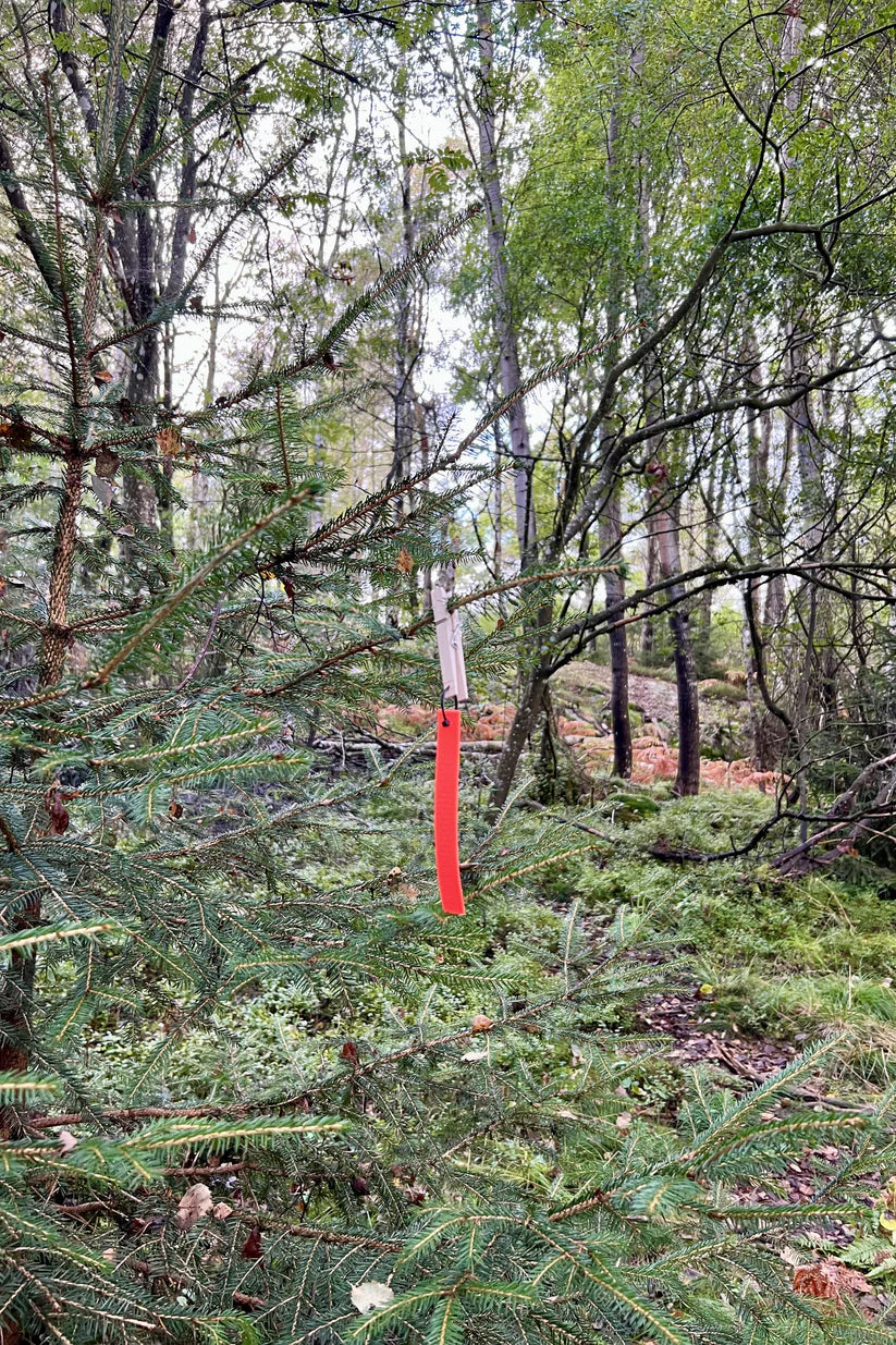 Tassmark Snitselpaket För Spår