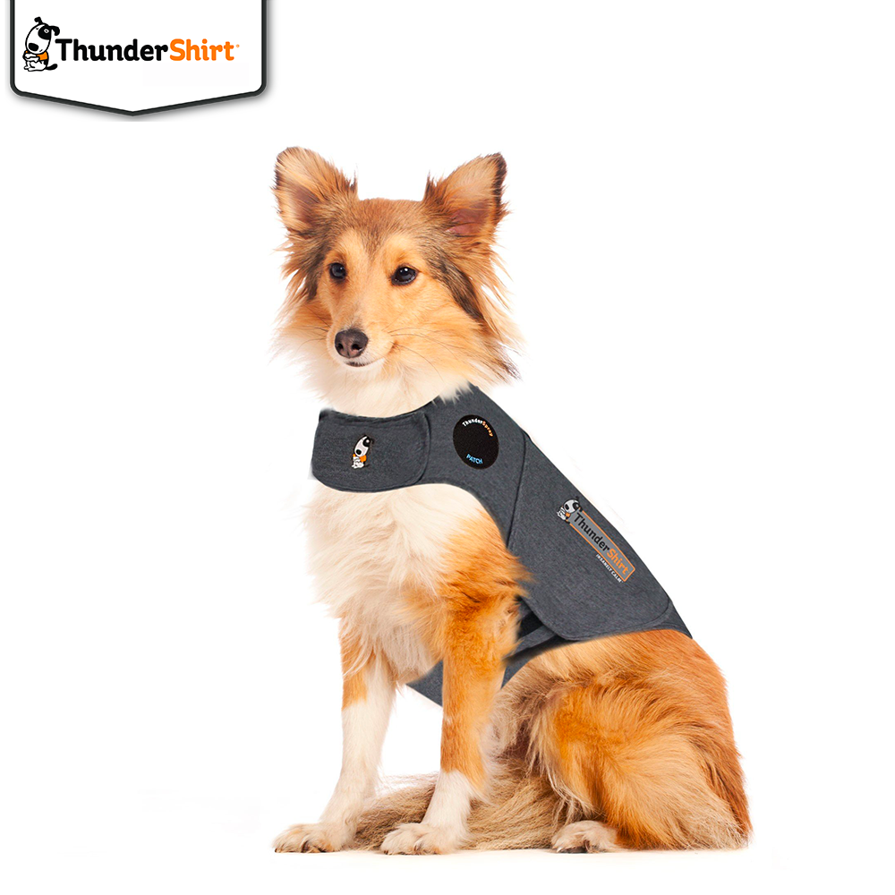 ThunderShirt