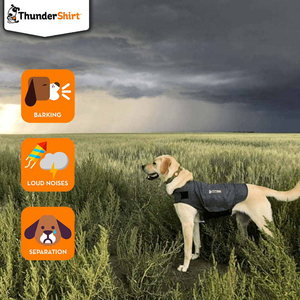 ThunderShirt