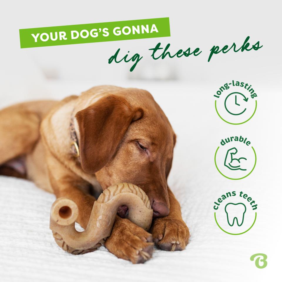 Benebone Tripe Bone Large