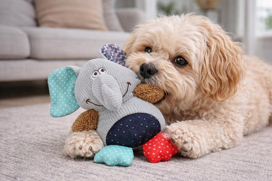 Elefant Patchwork