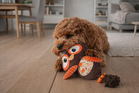 Uggla 30 cm