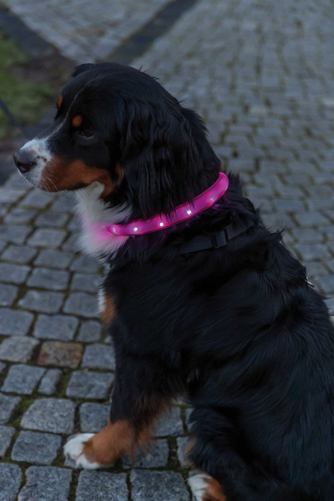 Flash Light Halsband