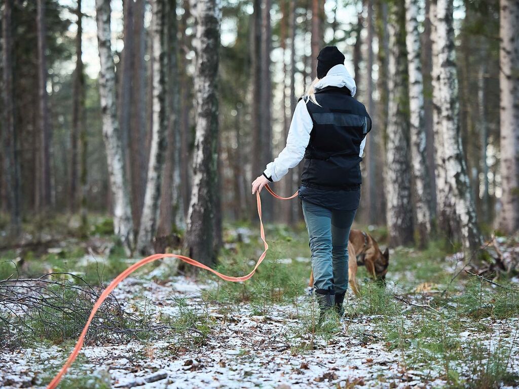 Non-Stop Dogwear Friction Long Line 10 m