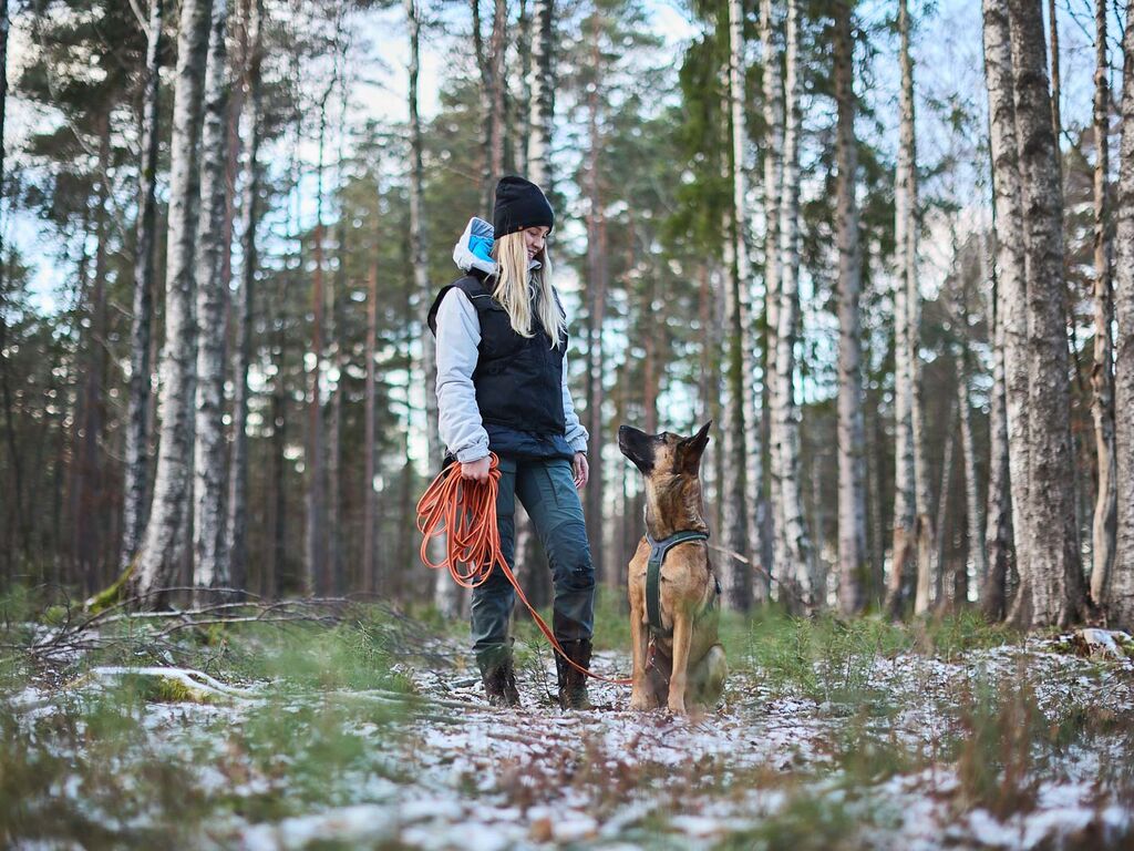 Non-Stop Dogwear Friction Long Line 10 m