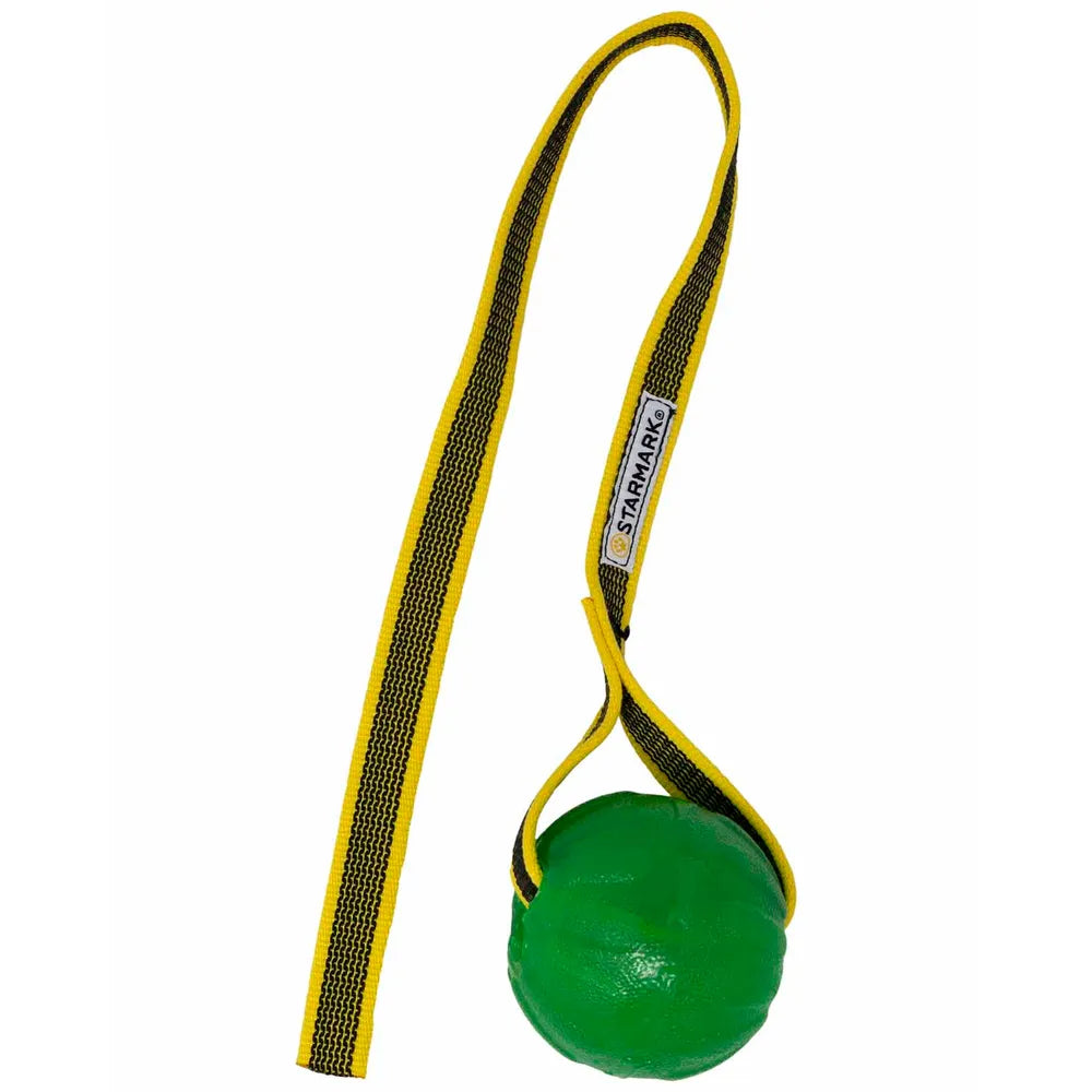 Starmark GripCord ChewBall