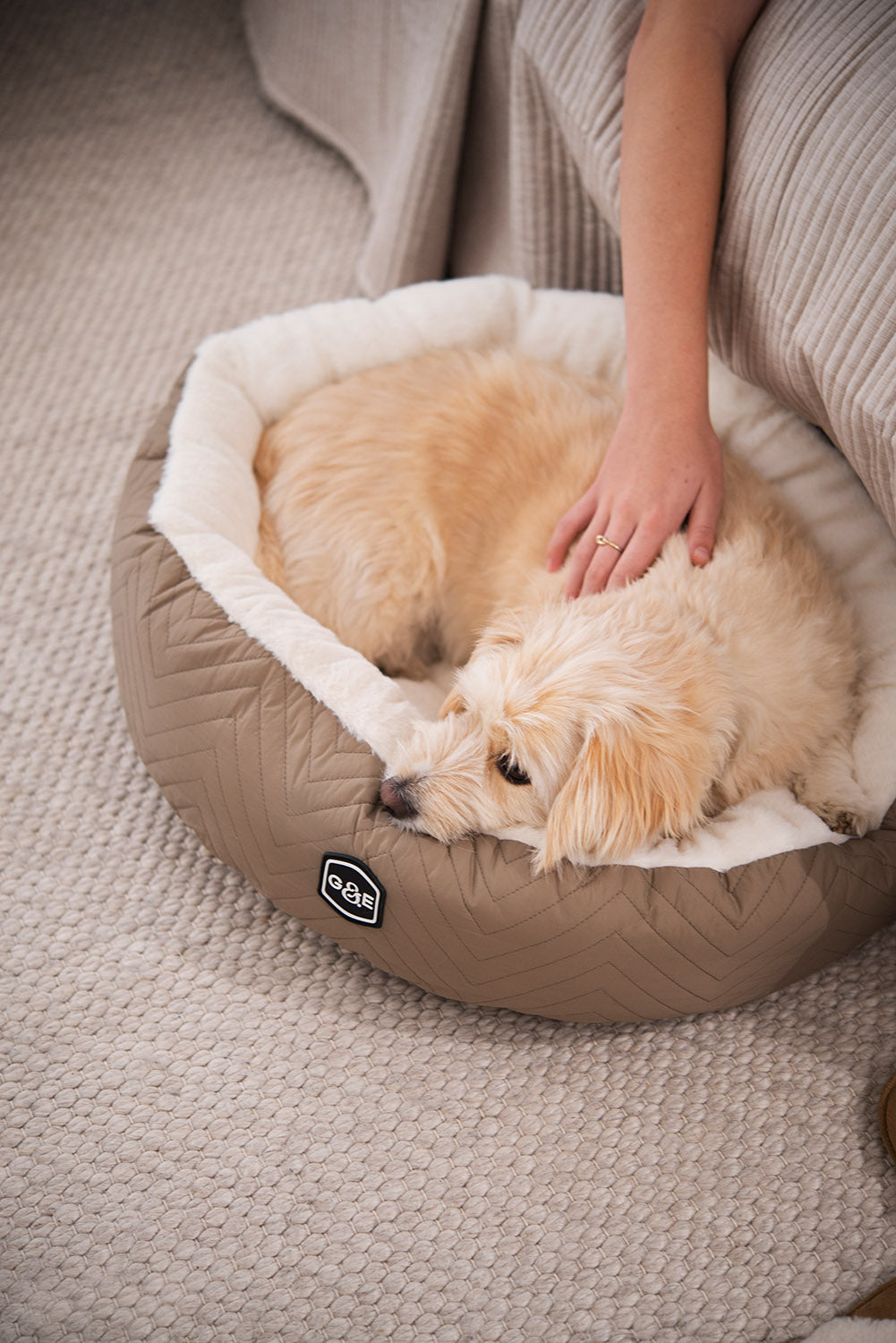 Gustaf & Evita Hundbädd