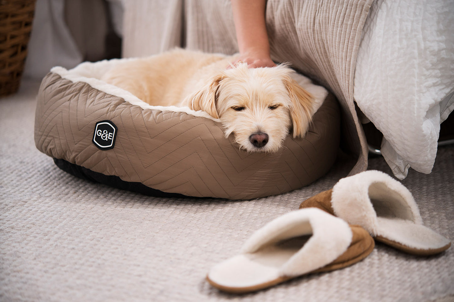 Gustaf & Evita Hundbädd