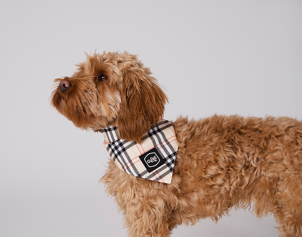 Gustaf & Evita Bandana