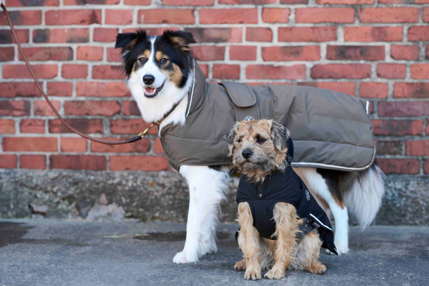 Jacson Rakel Vintertäcke