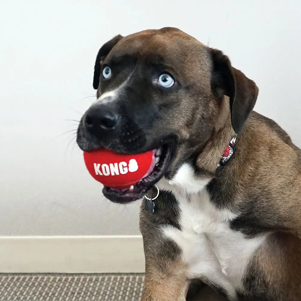 Kong Signature Sport Ball