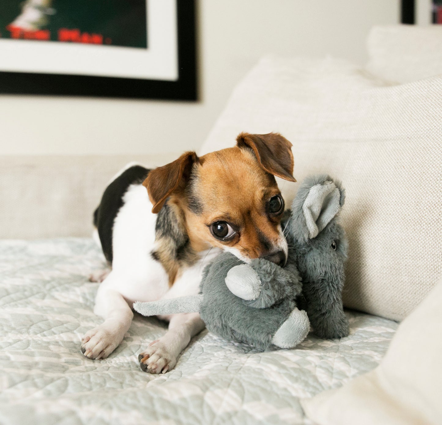 Kong Comfort Kiddos Elefant XS