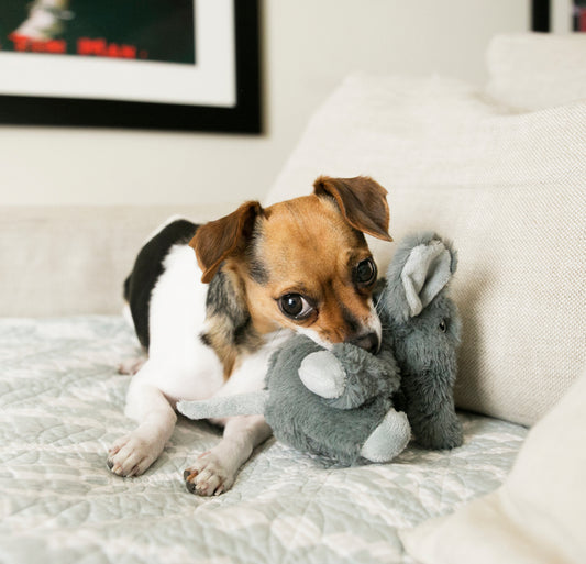 Kong Comfort Kiddos Elefant XS