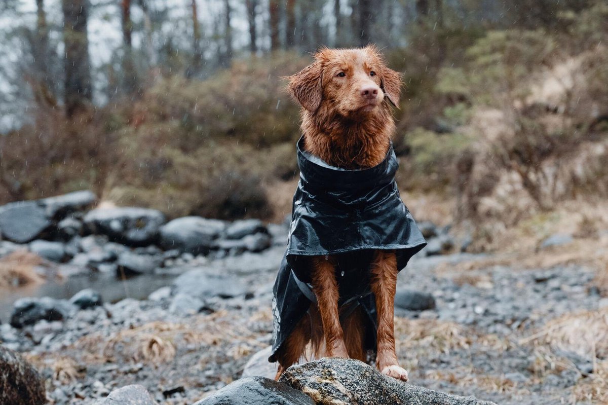 Hurtta Monsoon Coat Regntäcke