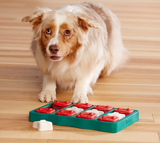 Nina Ottosson Dog Brick