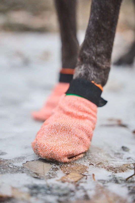 Non-Stop Dogwear Protector Light Socks