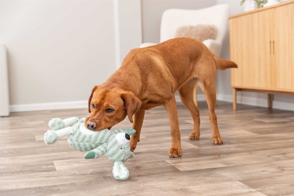 Randig Hund 34 cm