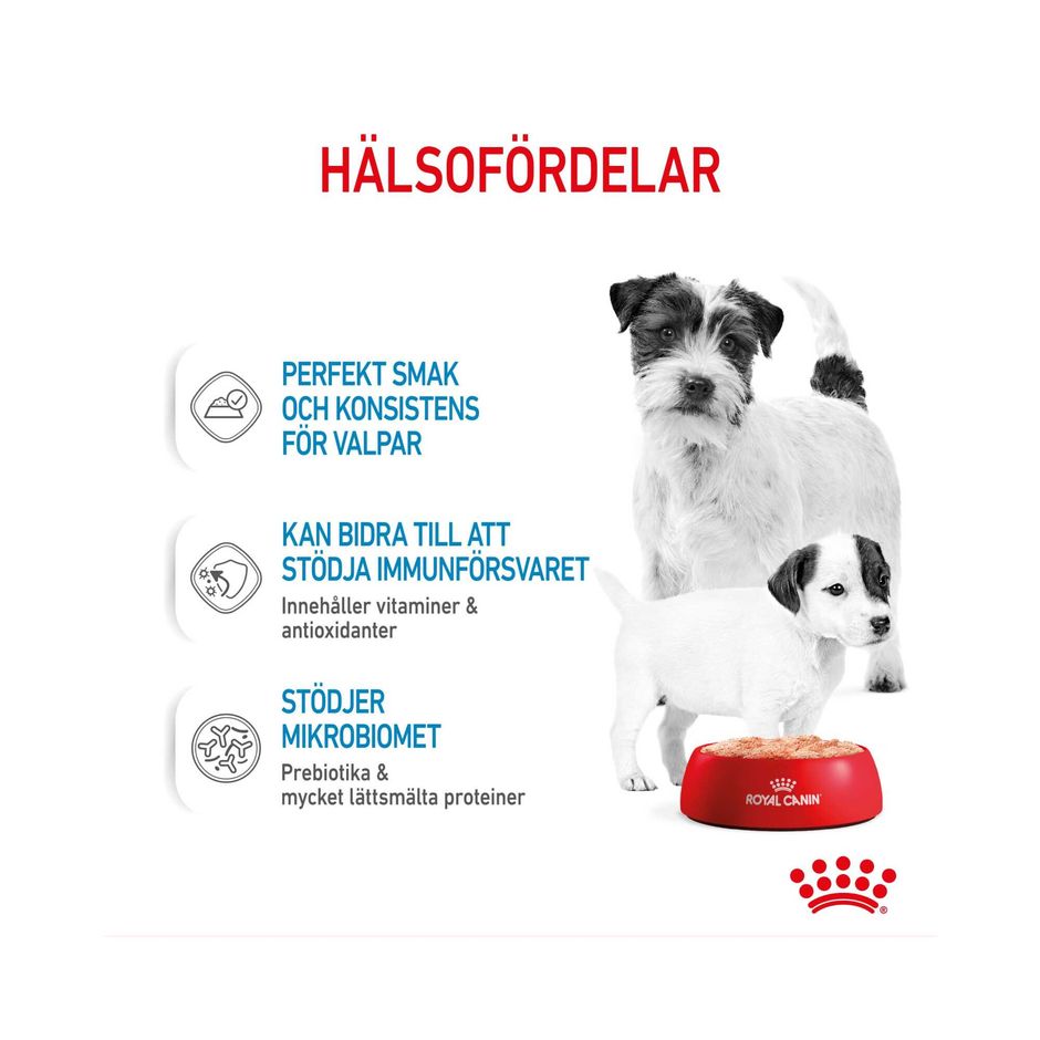 Royal Canin Starter Mousse 195 g