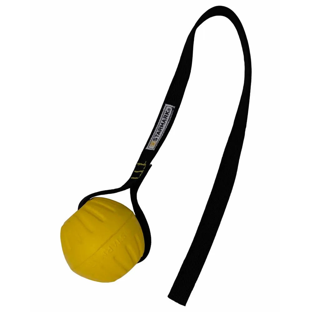 Starmark GripCord Durafoam Ball M