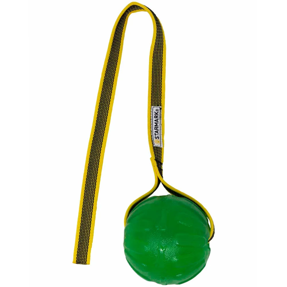Starmark ChewBall M/L