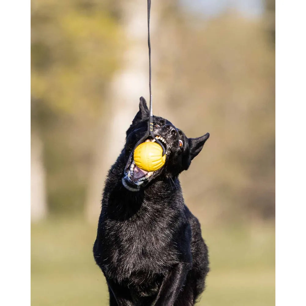 Starmark GripCord Durafoam Ball M