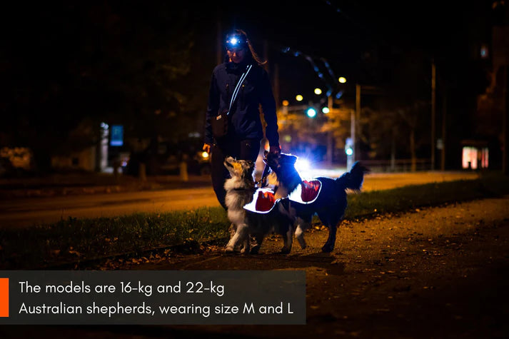 Non-Stop Dogwear Reflection Blanket