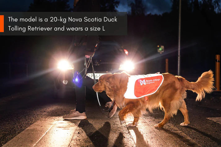 Non-Stop Dogwear Reflection Blanket