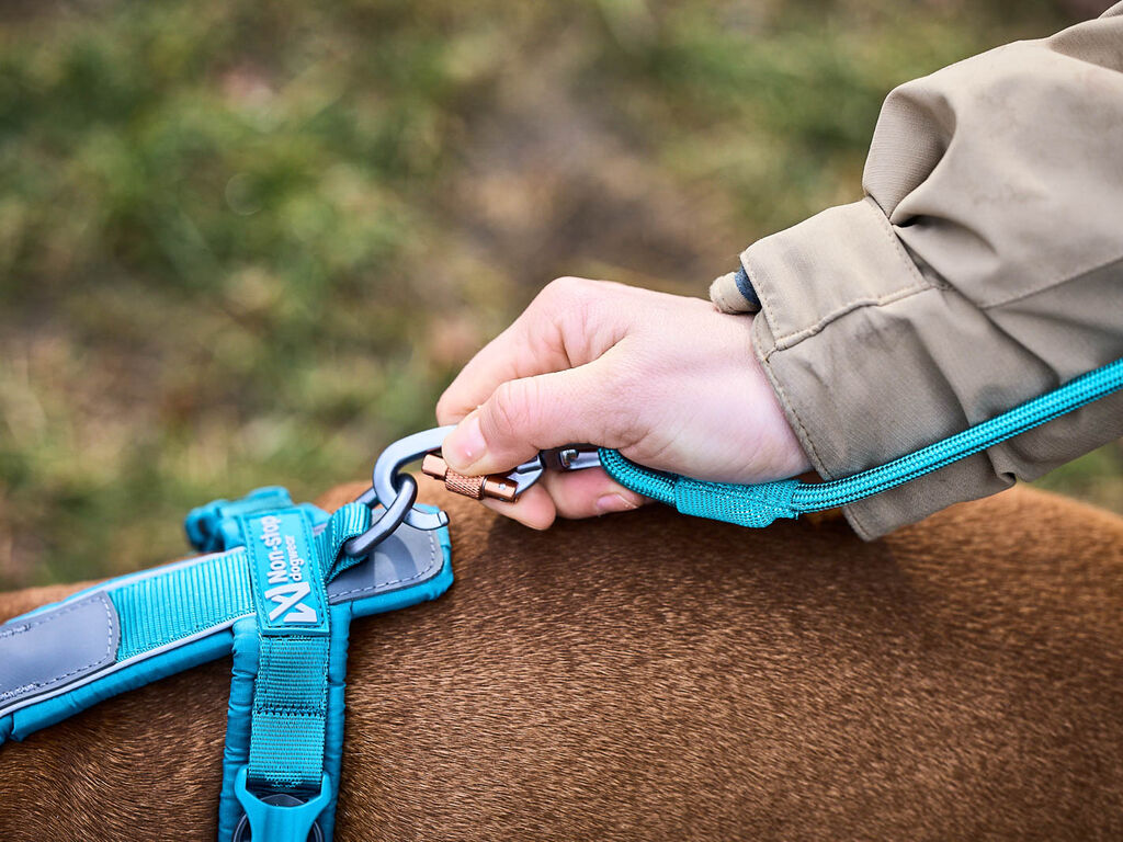 Non-Stop Dogwear Trekking Rope Leash 2 m