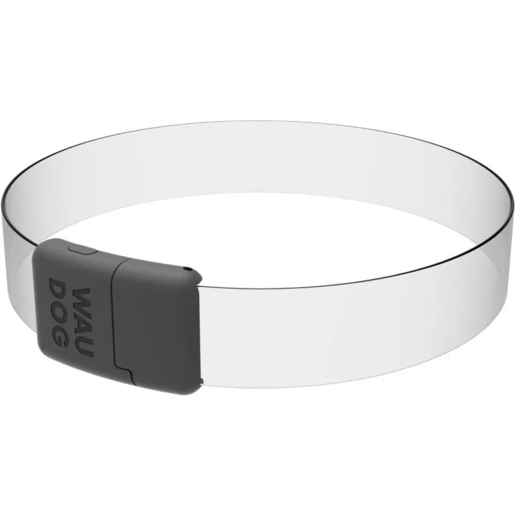 Wau Dog Led Collar
