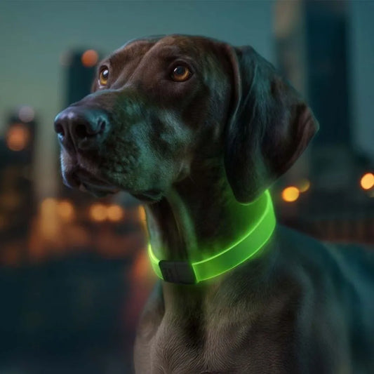 Wau Dog Led Collar